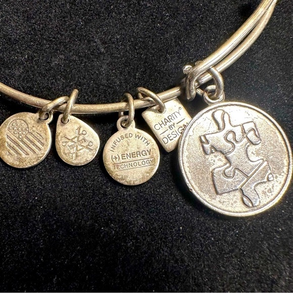 Alex and Ani Autism Awareness Bracelet Silver Metal - Picture 5 of 5